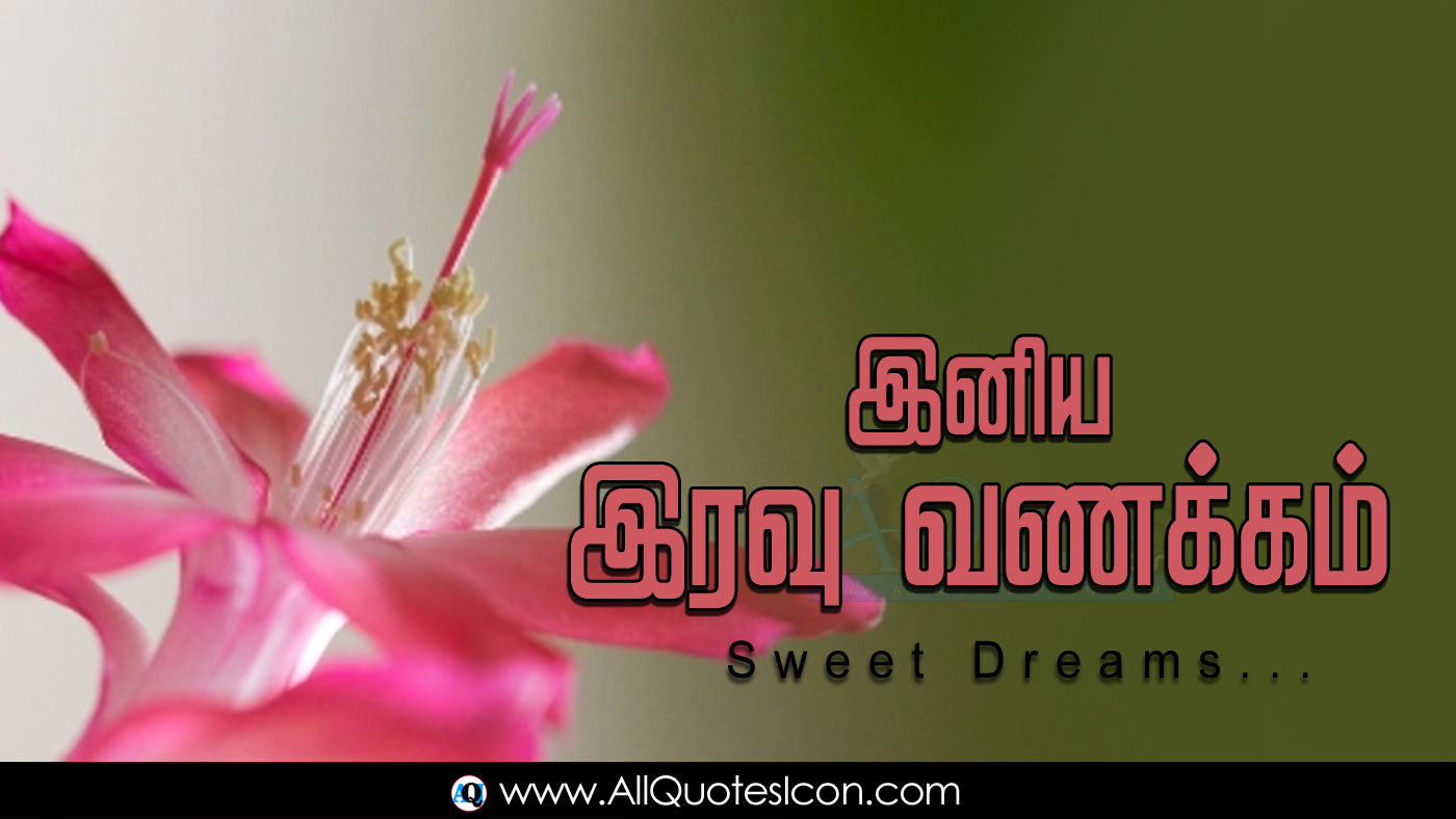 Nice Tamil Good Night Images HD Wallpapers Top Good Night Greetings in