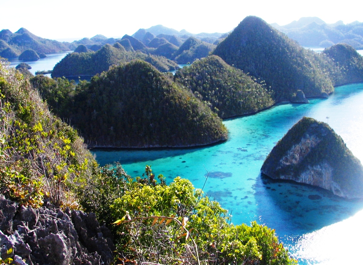 Travel Trip Journey : Raja Ampat Islands