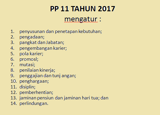 PERATURAN PEMERINTAH NOMOR 11 TAHUN 2017 TENTANG MANAJEMEN PEGAWAI