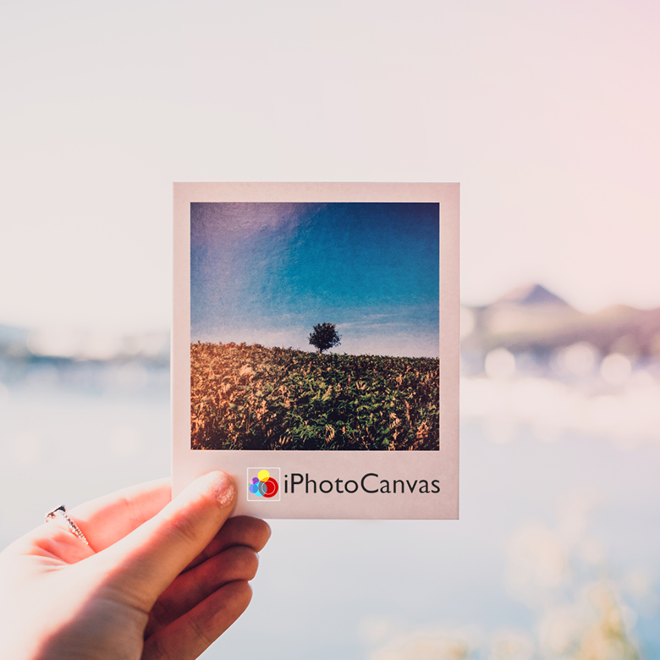Convert Your Photos into Canvas Prints