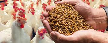Poultry feed formula