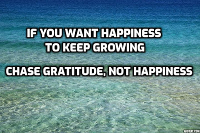 Gratitude and happiness Gratitude for long term happiness and success