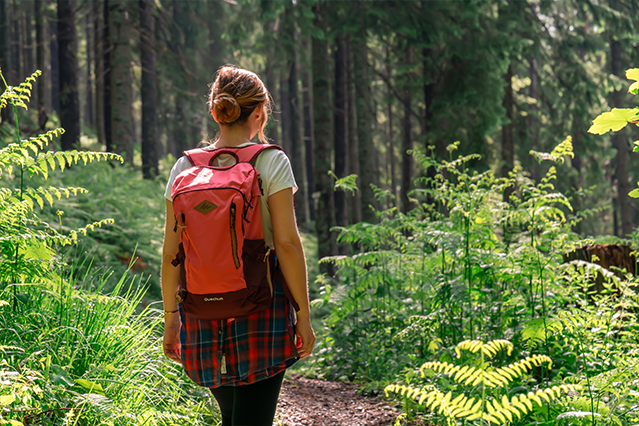 Premiumwanderweg Murgleiter | Etappe 5 von Baiersbronn zum Schliffkopf | Wandern nördlicher Schwarzwald 01