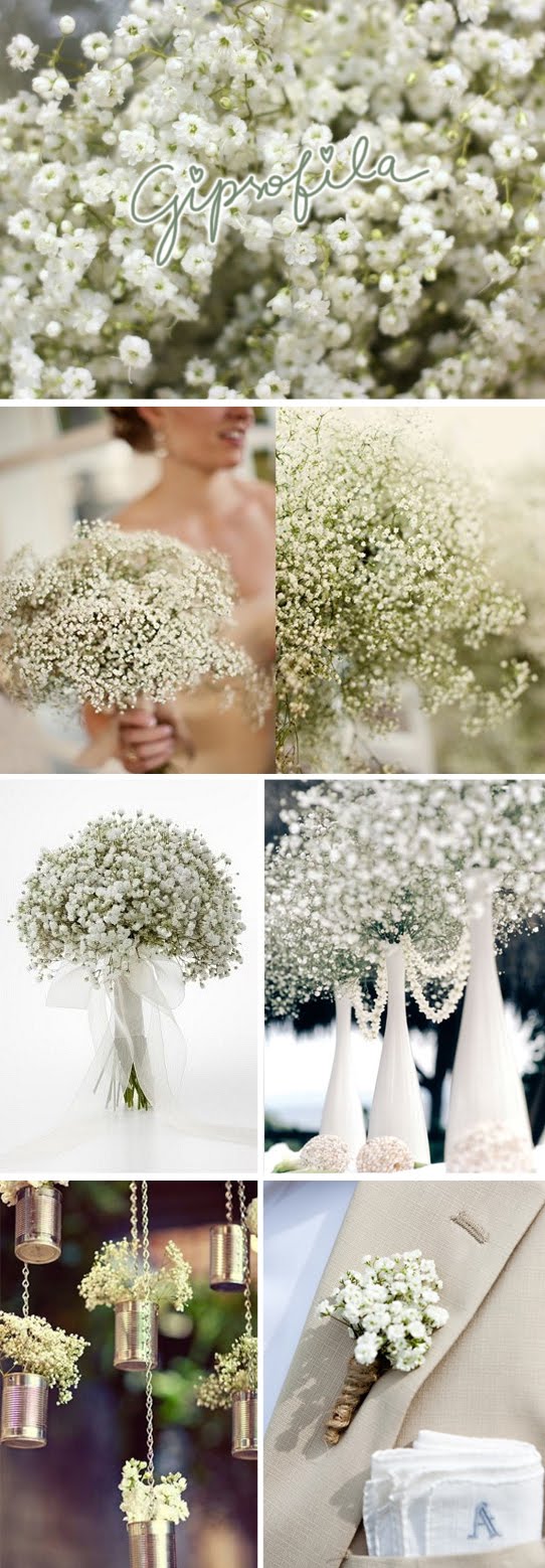 Mil Camadas de Tule | Blog de casamento, viagens, beleza: Flores - Gipsofila