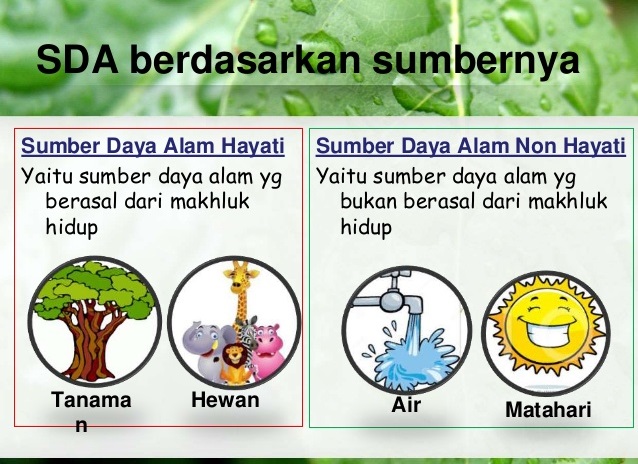 Pdf Rpp Tematik Kelas 1 Sd