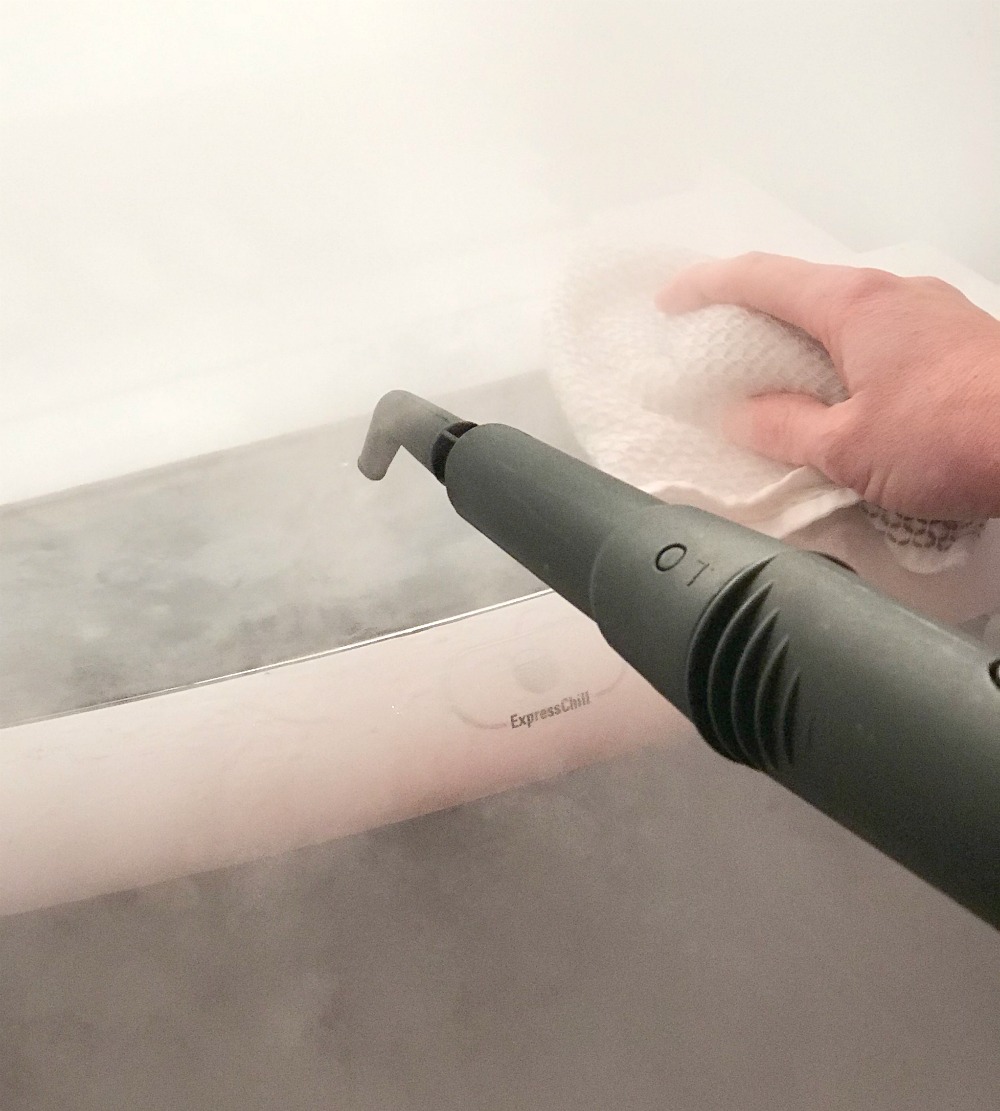 Clean Your Fridge Fast! Rachel Teodoro