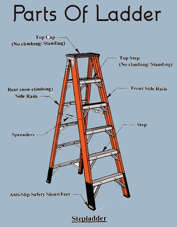 Parts Of Ladder