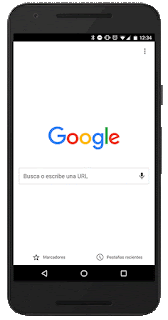 Clic para ampliar Chrome_sincronizar.gif