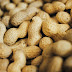 Benefits of eating peanuts by shfrni10 article , مونگ پھلی کھانے کے فوائد