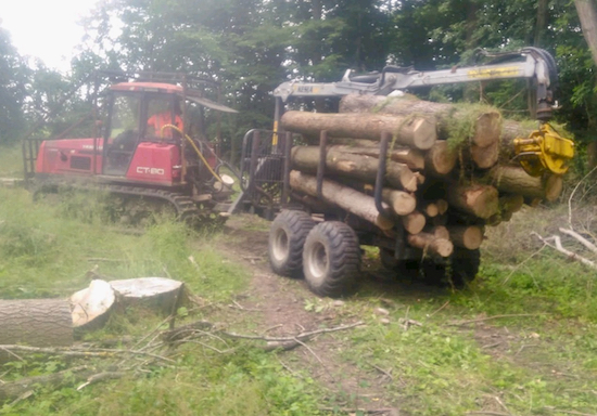 Timber removal from Gobions Wood Image courtesy of Herts and Middlesex Wildlife Trust