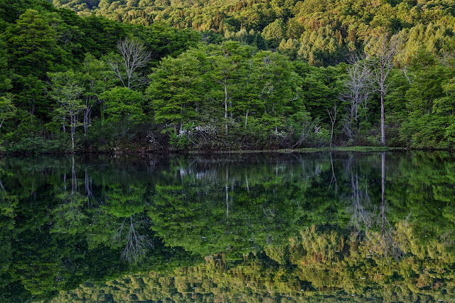 #photo #landscape #sigma #foveon #sdquattroh #japan #yamagata #nishikawa #写真 #風景写真 #山形帝國 #山形県 #西川町