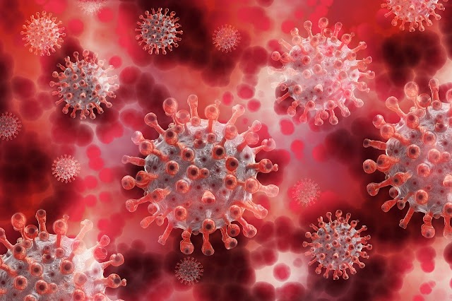 Second U.S. Virus Wave Emerges as Cases Top 2 Million By Emma Court and David R Baker