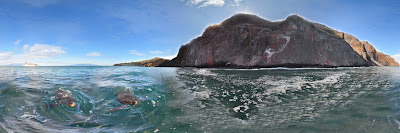 Vicente Roca Point, Isabela Island, Galapagos