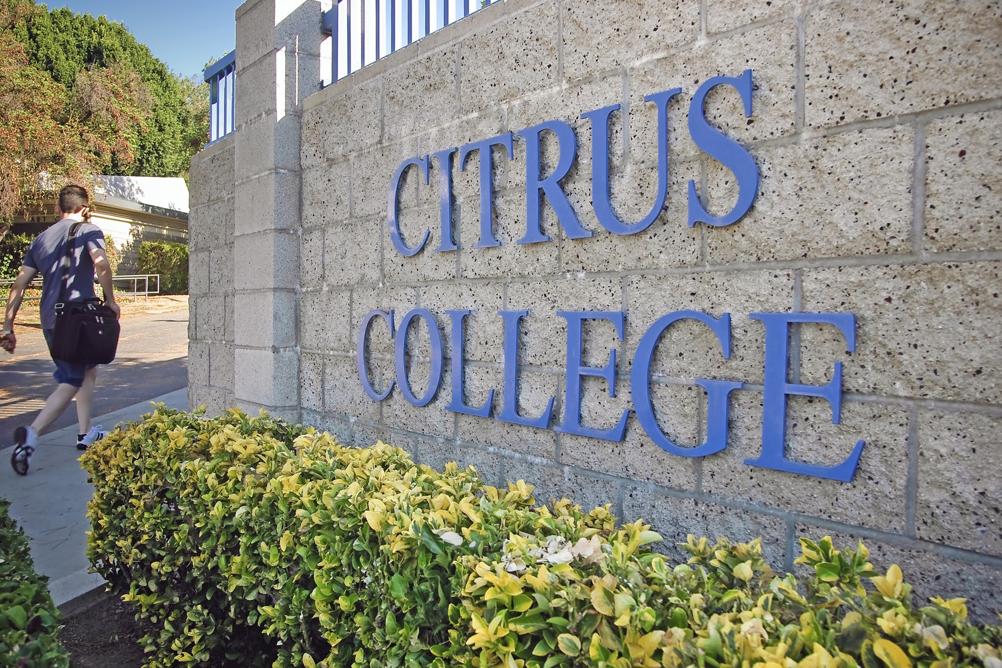 Monrovia Now News and Comment about Monrovia, California Citrus