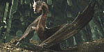 http://shotonlocation-nl.blogspot.com/search/label/The%20Hobbit%3A%20The%20Desolation%20of%20Smaug