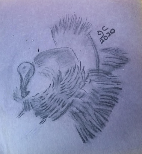 528