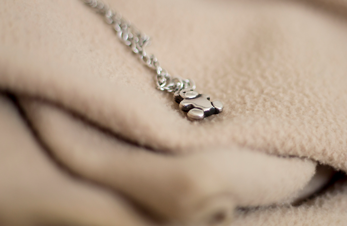 siete objetos definen tag lista