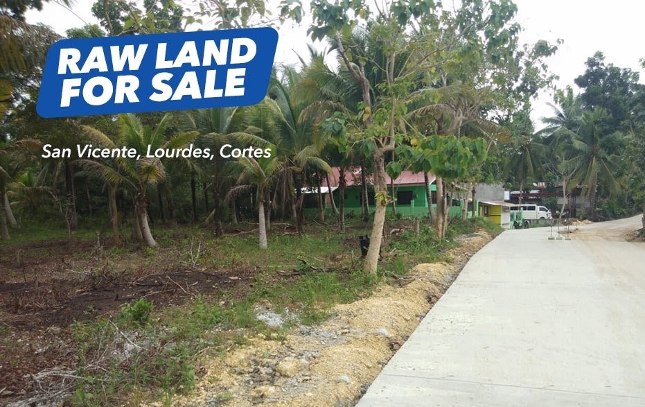 LOT FOR SALE in CORTES, BOHOL, PHILIPPINES!