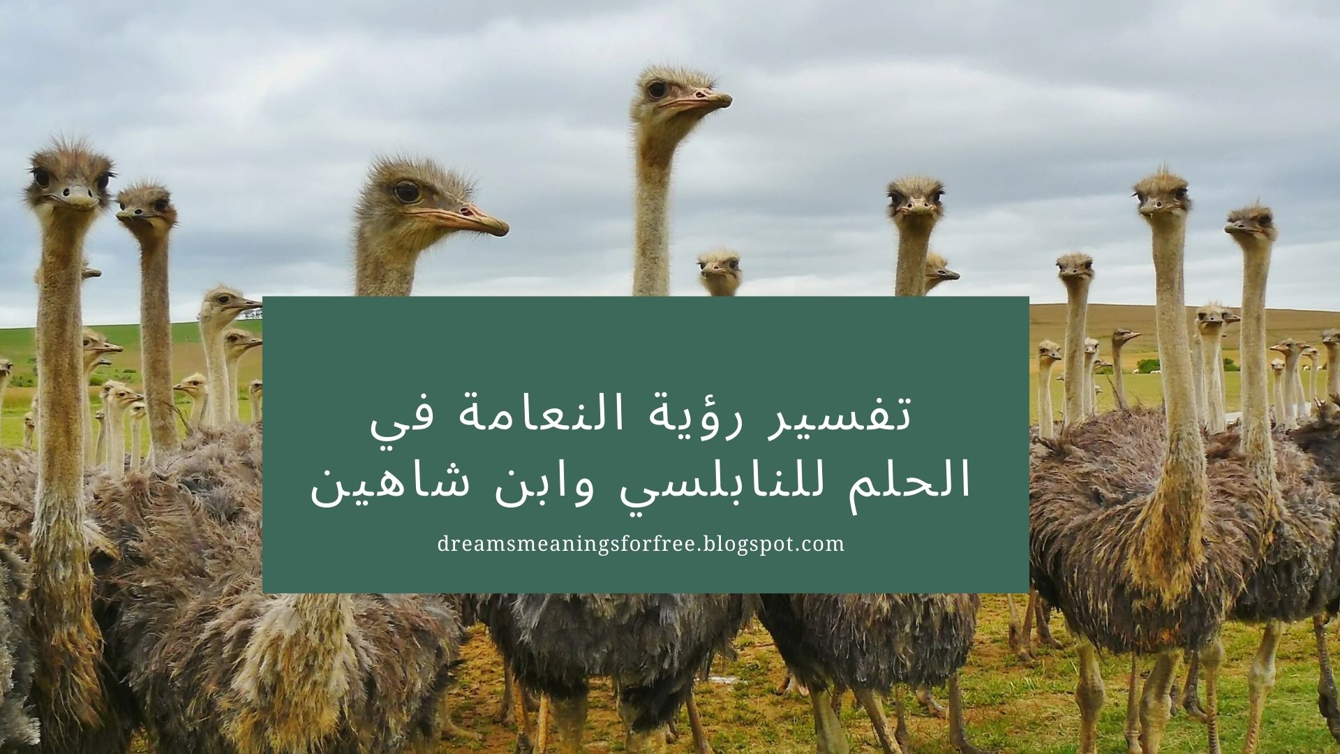 أكروبات سيرك دو سوليه عرض عيد الميلاد G عطلة البهلوانية عرض عيد الميلاد سيرك دو سوليه G سيرك دو سوليه رؤية فنية