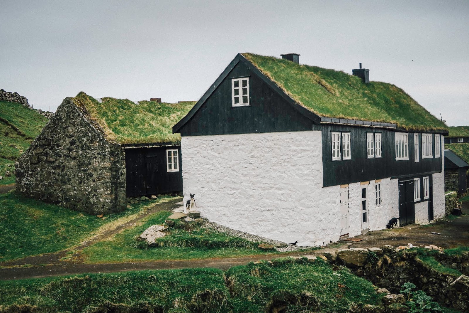 mykines helicopter faroe islands liquidgrain liquid grain mykines helicopter faroe islands liquidgrain liquid grain