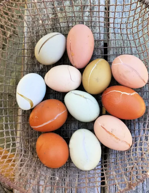 basket of cracked eggs