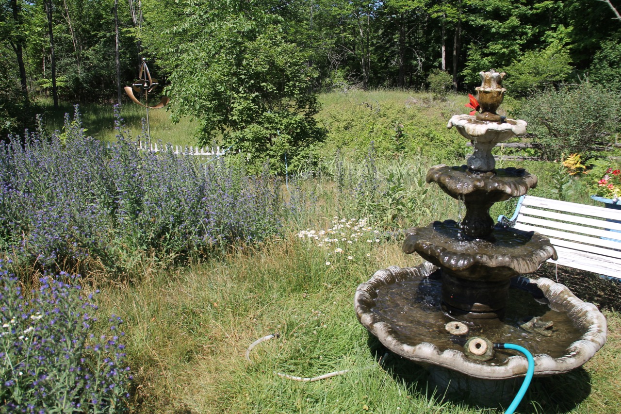 Reflections from Crumbly Acres water fountain, goldfish pond, kiddie pool