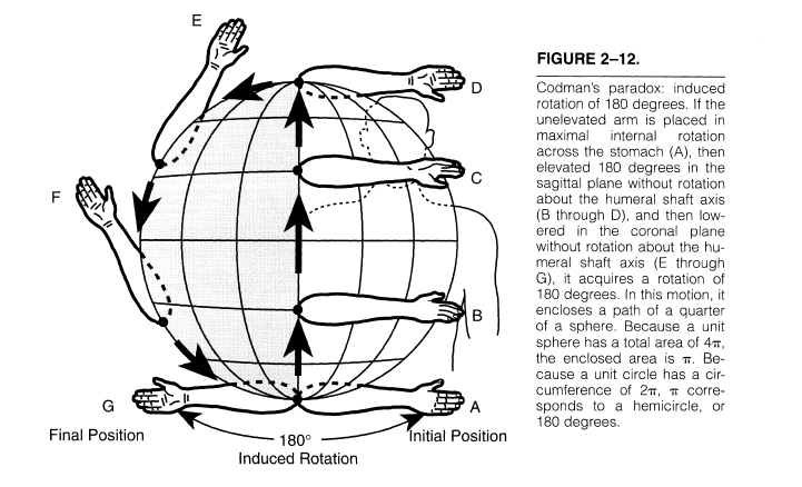 Shoulder Arthritis Rotator Cuff Tears Causes Of
