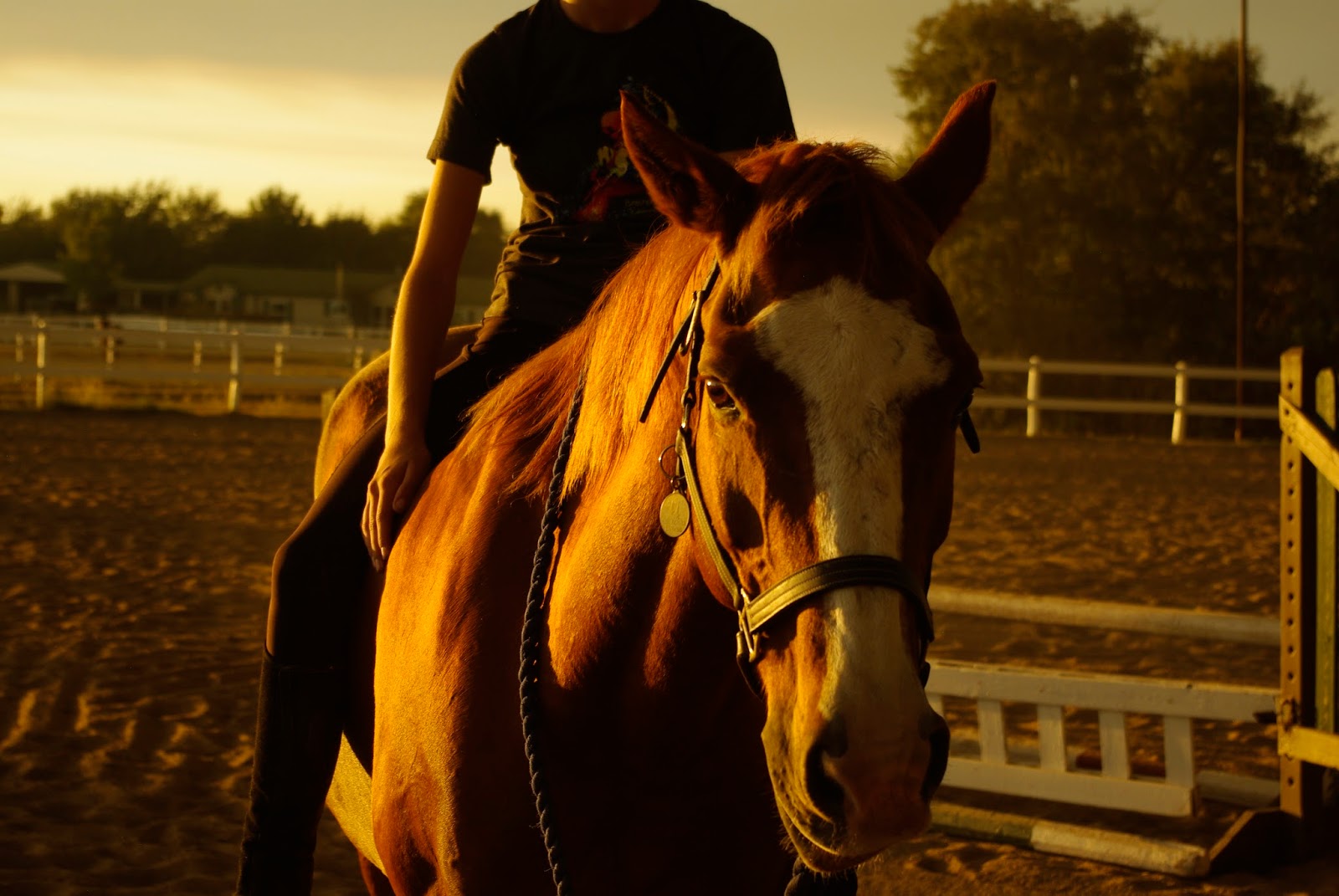 Ashley's Photojournalism Barn Photoshoot 1
