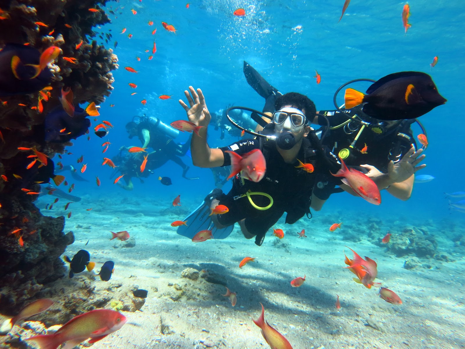 Scuba diving in Eilat Ramnath Kamat