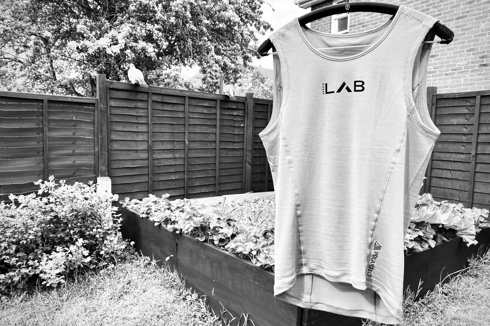 polartec base layer