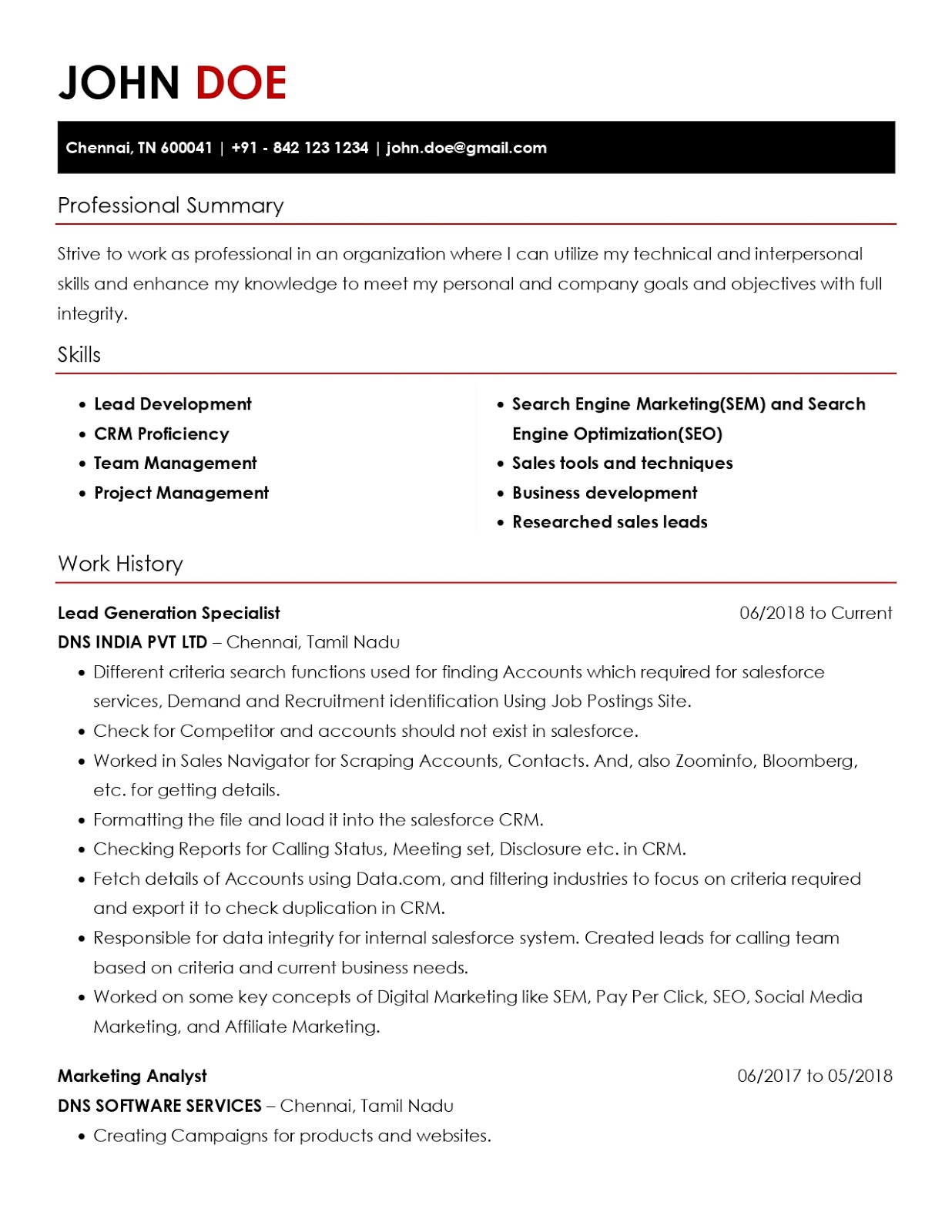 professional resume format in word download