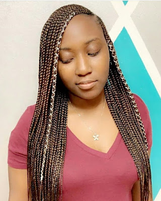 African Braids Hairstyles Pictures 2020: Best hairstyles you should try ...