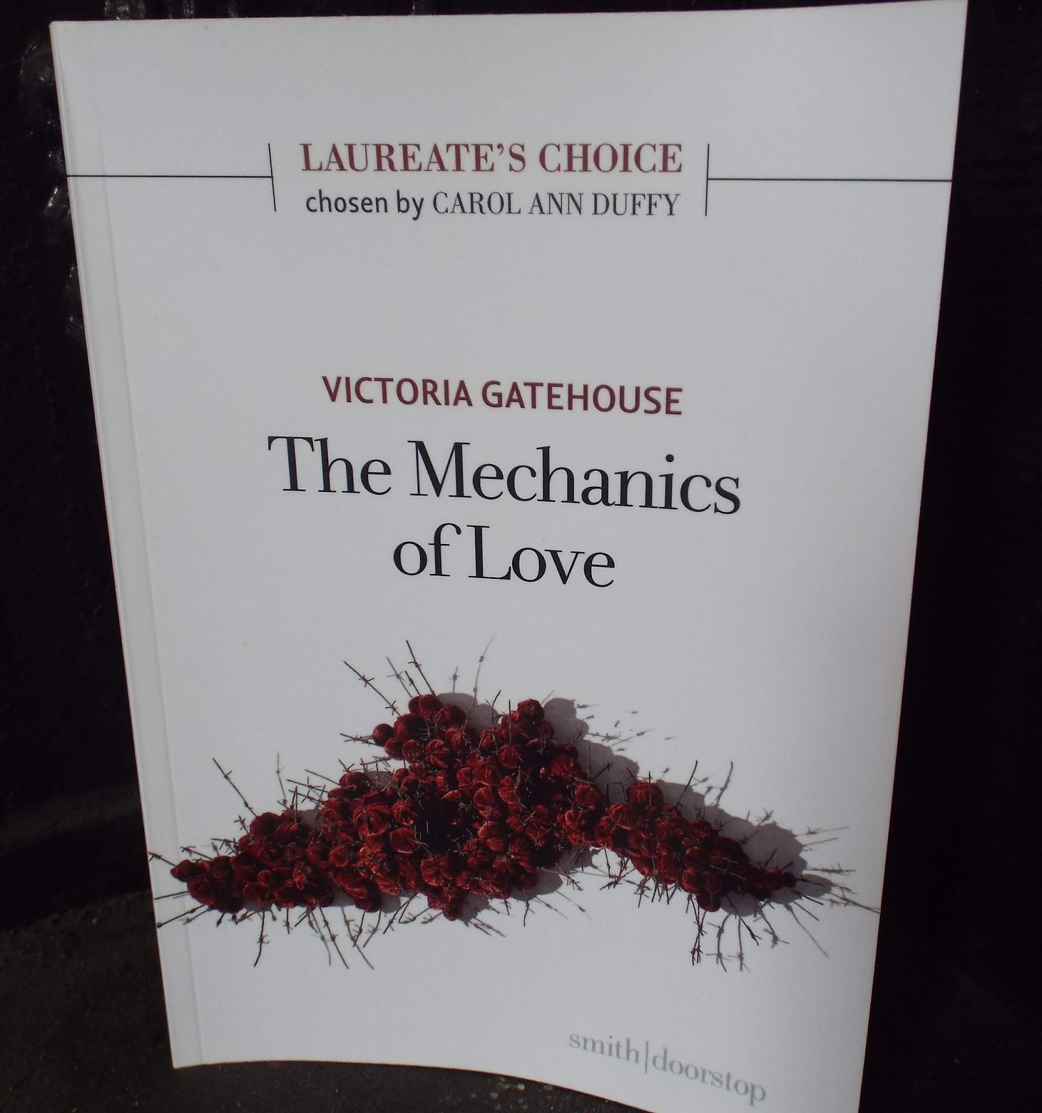 Caterpillar Poetry Lustre And Lifelines Victoria
