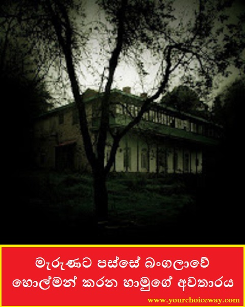 මැරුණට පස්සේ බංගලාවේ හොල්මන් කරන හාමුගේ අවතාරය (Bangalow) - Your Choice Way