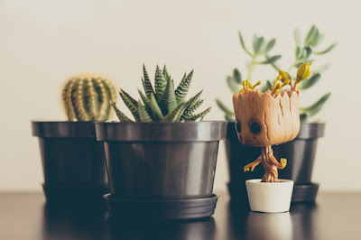 I am Groot...photo by James Pond on Unsplash A figurine of the Marvel Comics character Groot standing next to cacti and succulents in brown pots.