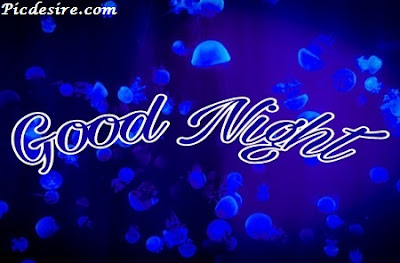 Top 101 Good Night Images || Best Good Night Images Top 101 Good Night Images || Best Good Night Images