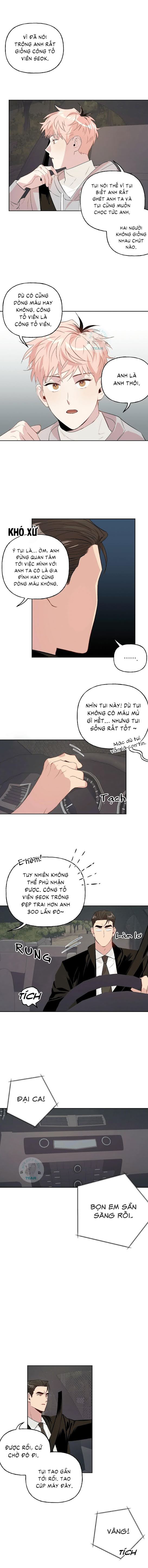 Đọc truyện Assorted Wildness - Chapter 14