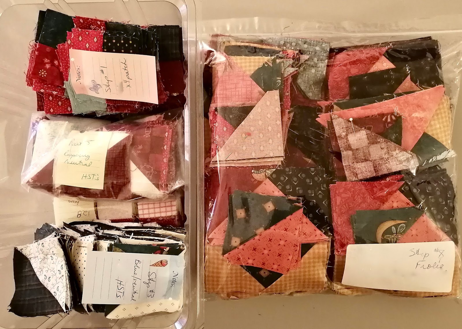 Kathy's Quilts It's all about Frolic!