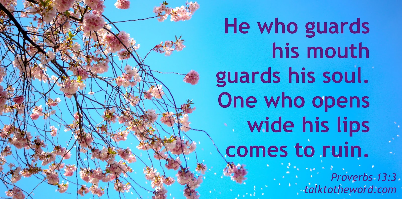 Proverbs 13 3 proverbs-13-3