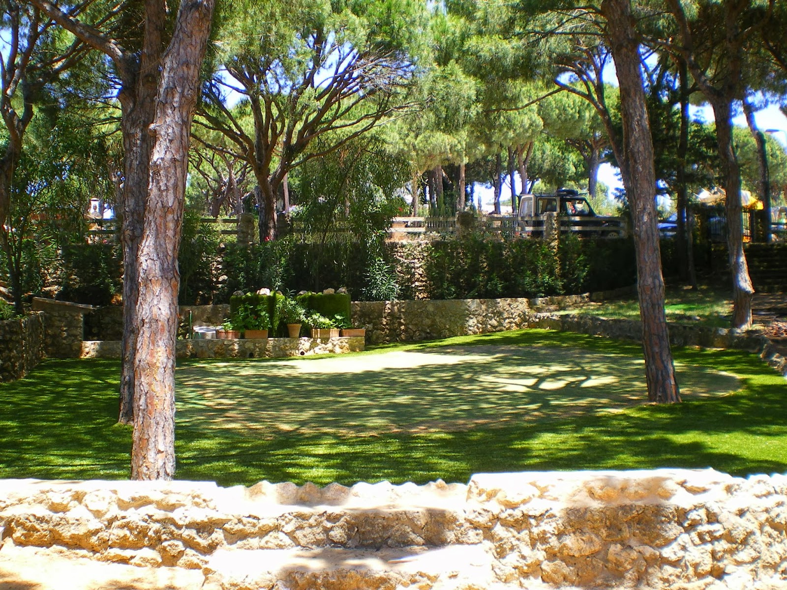 Francisco Cruz - Agricultura, Paisajismo, Césped deportivo