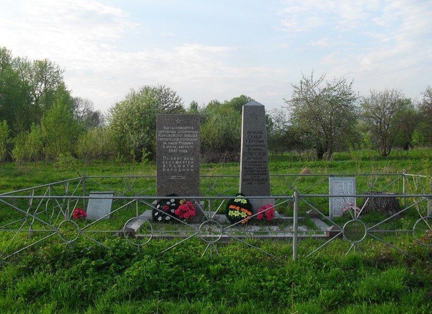 Борки новгородская область