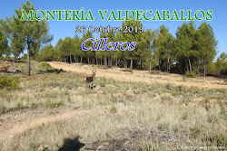 MONTERÍA VALDECABALLOS 2019