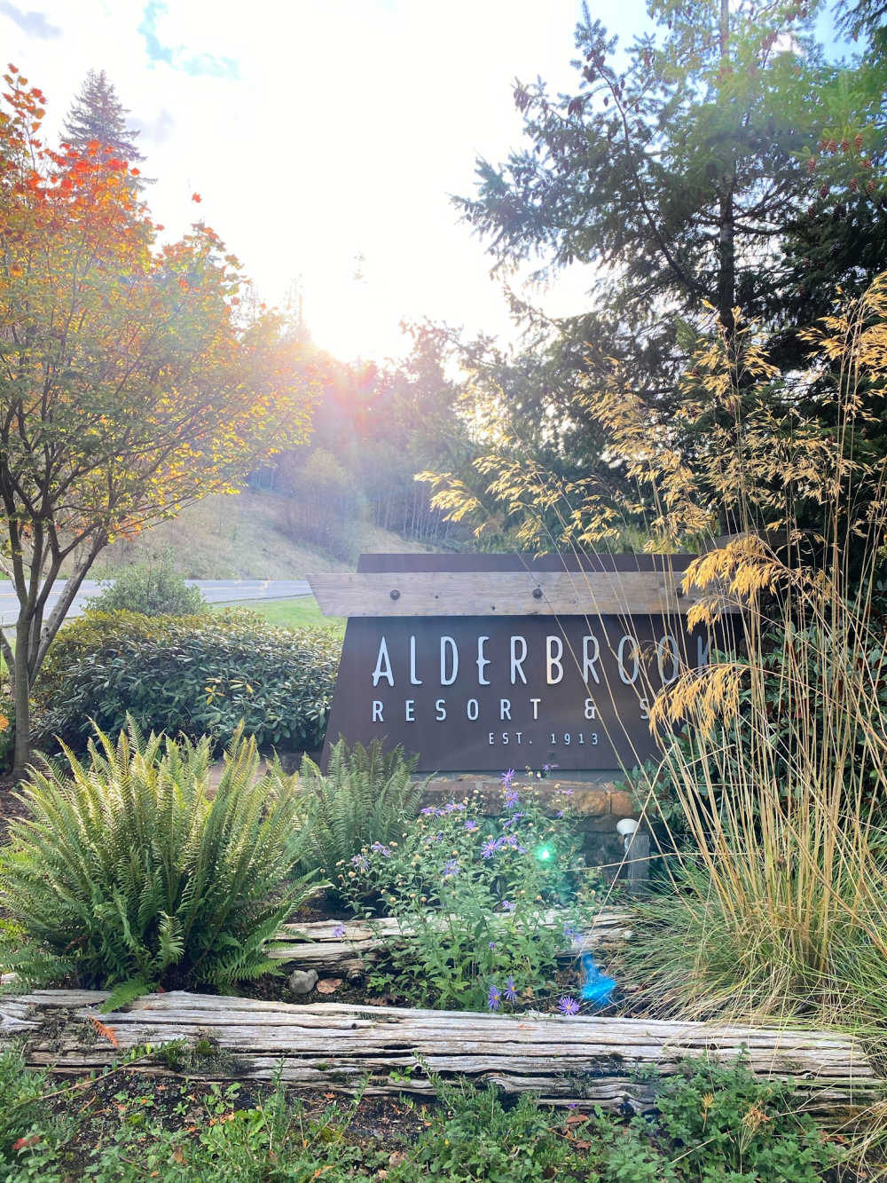 alderbrook resort