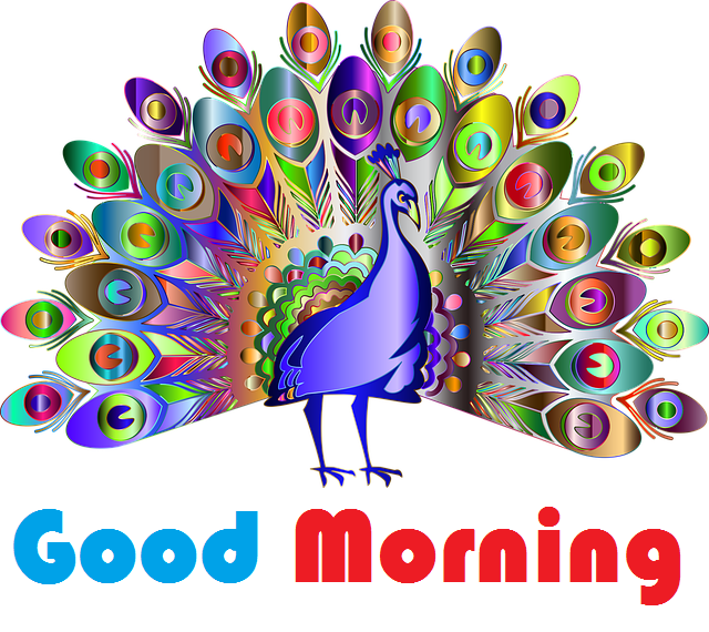 Birds Images With Good Morning Messages Your Hop