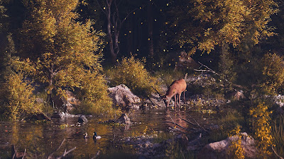 Screen background for free lone deer in the autumn forest Screen background for free lone deer in the autumn forest