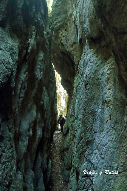 Las Cuevas de Andina