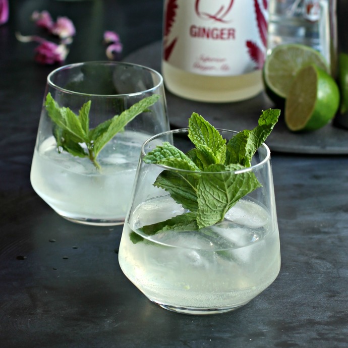 Hungry Couple Vodka Ginger Fizz