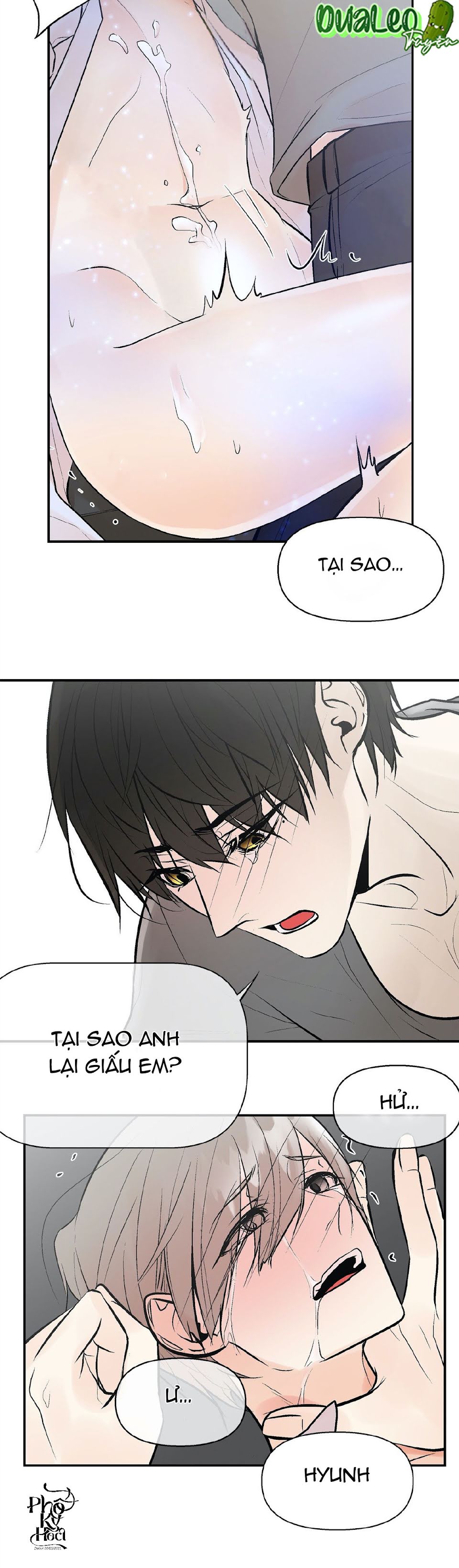 Đọc truyện Trú Ẩn - Chapter 5