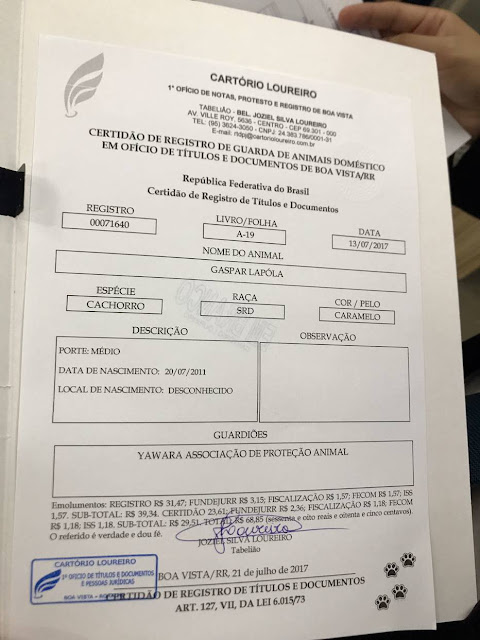 Cartório passa a emitir registro de pets com sobrenome do dono