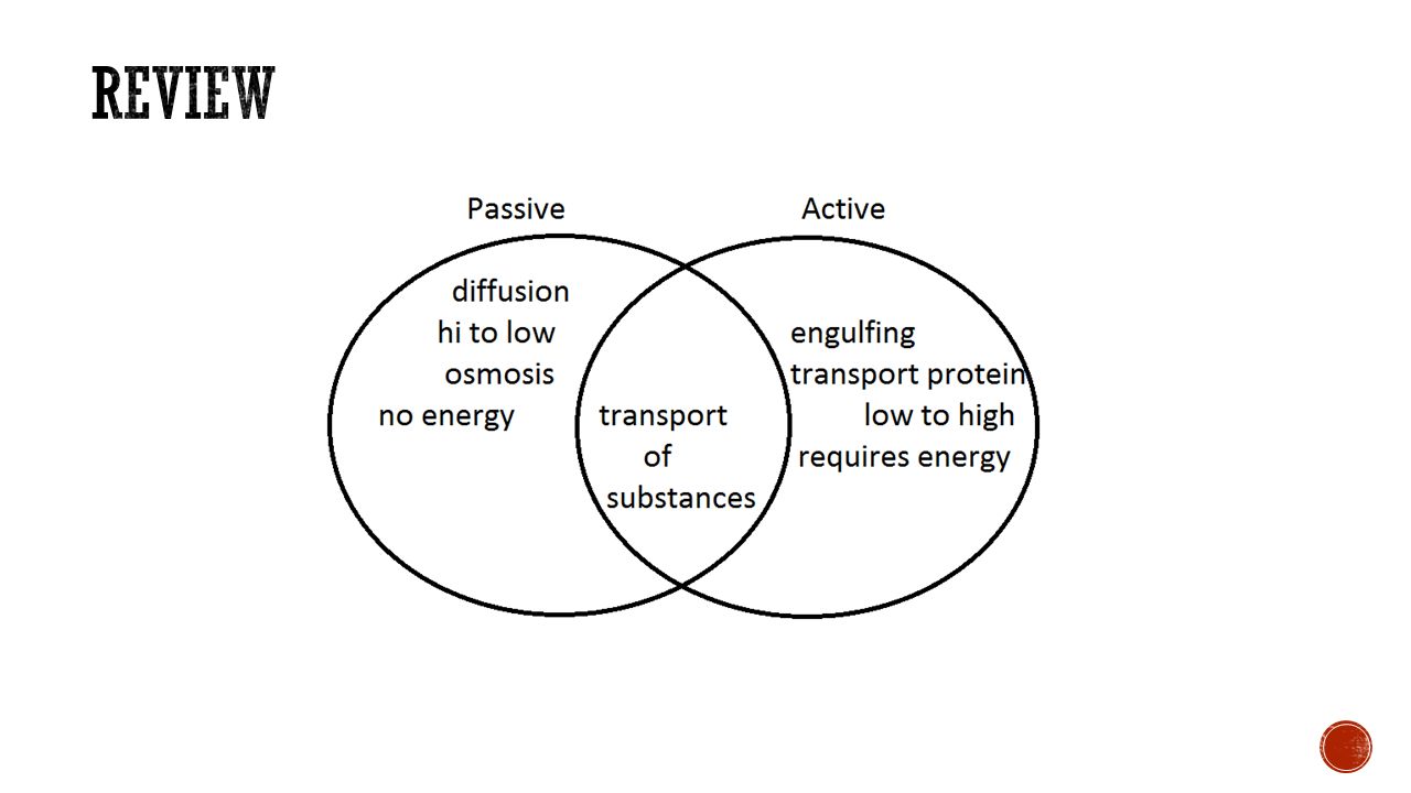 Passive Transport Vs Active Transport Venn Diagram Collage Template passive-transport-vs-active-transport-venn-diagram-collage-template